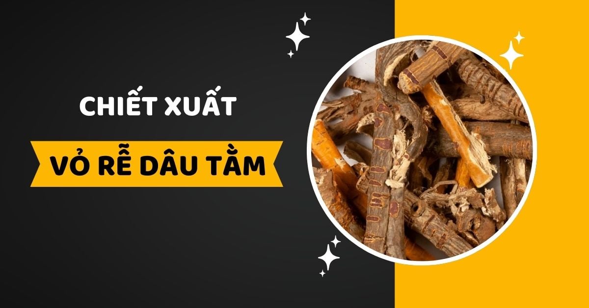 Công Dụng Của Chiết Xuất Vỏ Rễ Dâu Tằm Trong Mỹ Phẩm