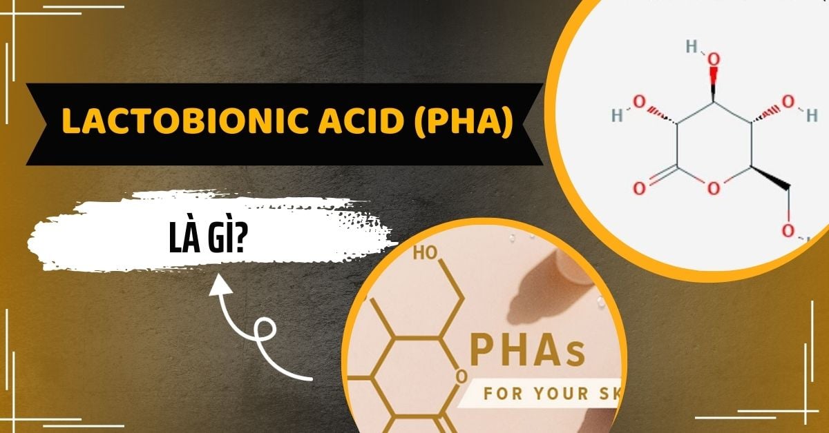 Lactobionic Acid (PHA) Có Tác Dụng Thế Nào Với Làn Da?