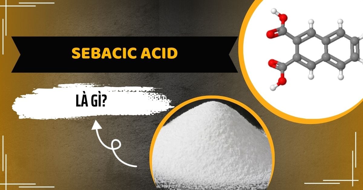 Sebacic Acid Là Gì? Tác Dung Của Thành Phần Trong Mỹ Phẩm