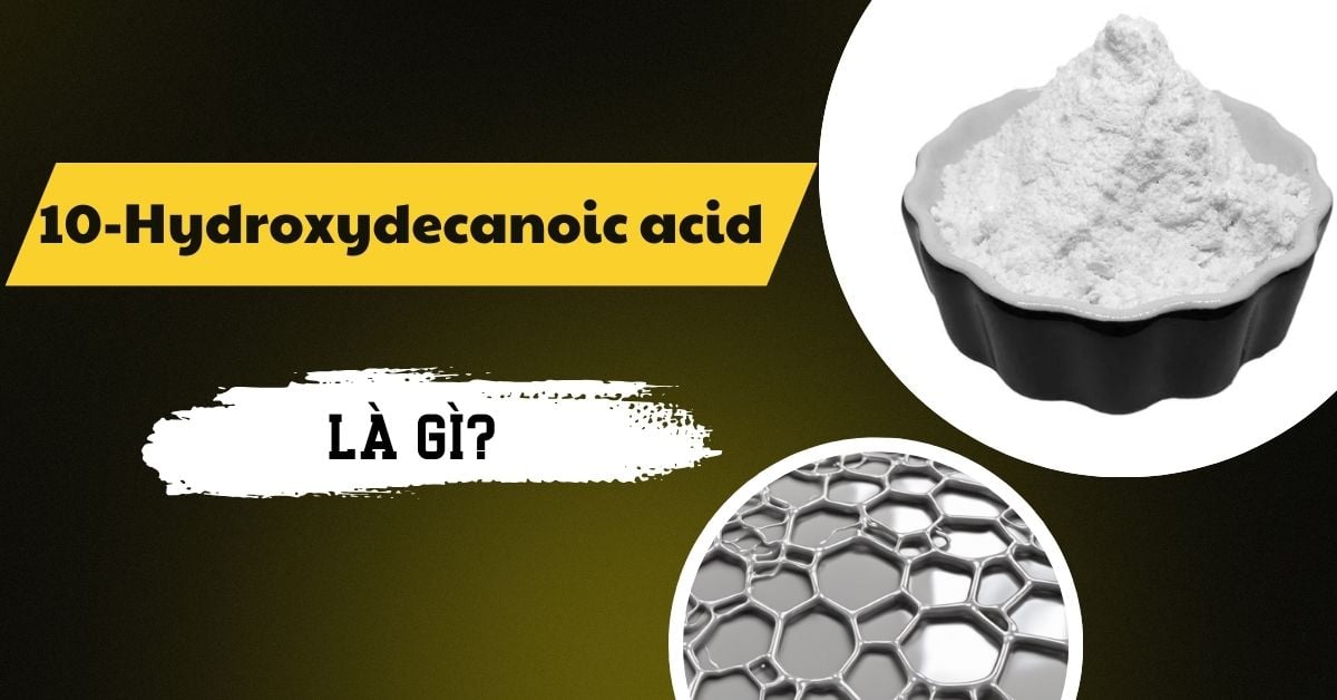 10-Hydroxydecanoic Acid Là Gì? Tác Dụng Đem Lại