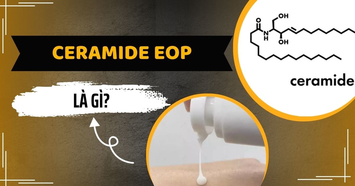 Ceramide EOP Là Gì? Tác Dụng Của Ceramide Trong Mỹ Phẩm