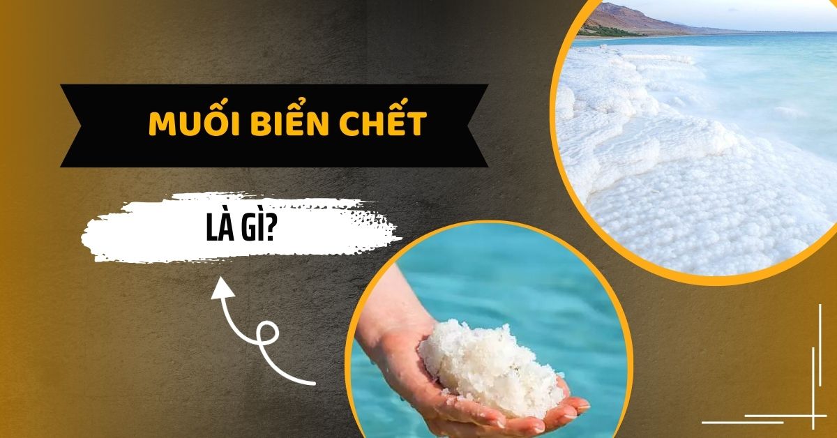 Muối Biển Chết: Bí Quyết Chăm Sóc Da Hiệu Quả Tại Nhà