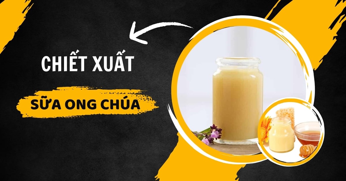 Chiết Xuất Sữa Ong Chúa “Thần Dược” Chống Kích Ứng Da Hiệu Quả