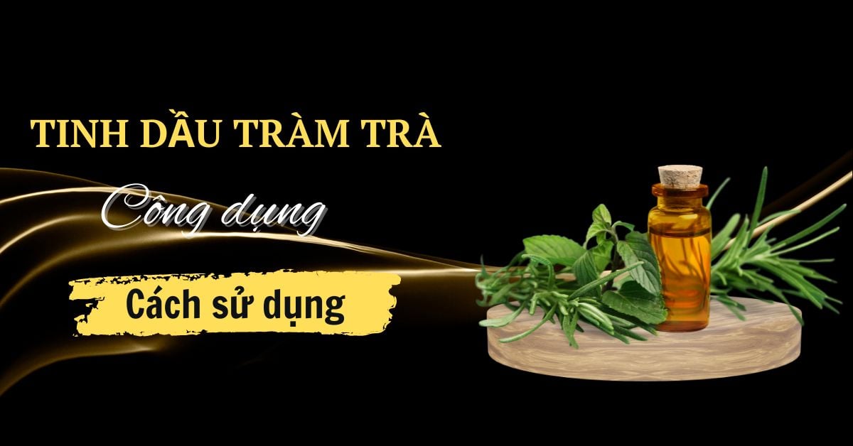 Tinh Dầu Tràm Trà Là Gì? Công Dụng, Cách Dùng Tràm Trà Trị Mụn