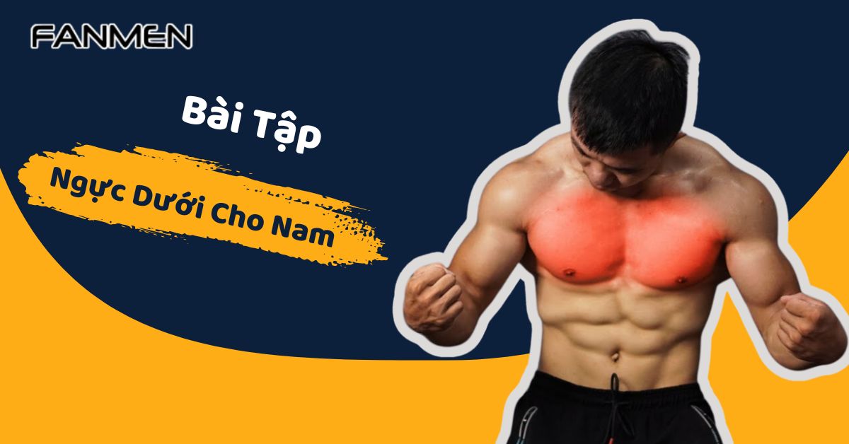 Bài Tập Ngực Dưới Cho Nam Giúp “Ngực Nở” Nhanh Chóng