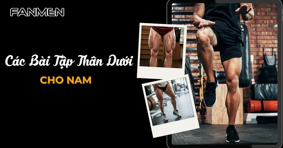 Các Bài Tập Thân Dưới Cho Nam Hiệu Quả Nhiều Gymer Sử Dụng