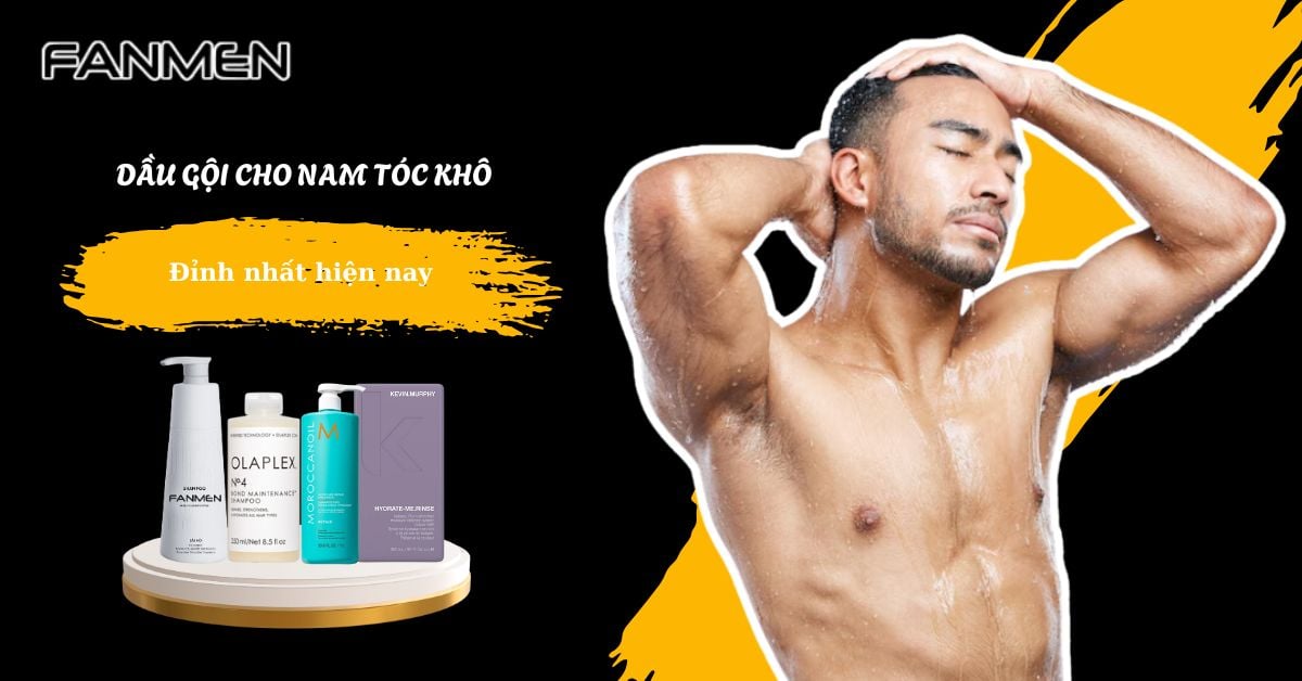 Bật Mí 5+ Dầu Gội Cho Nam Tóc Khô ĐỈNH Nhất Hiện Nay