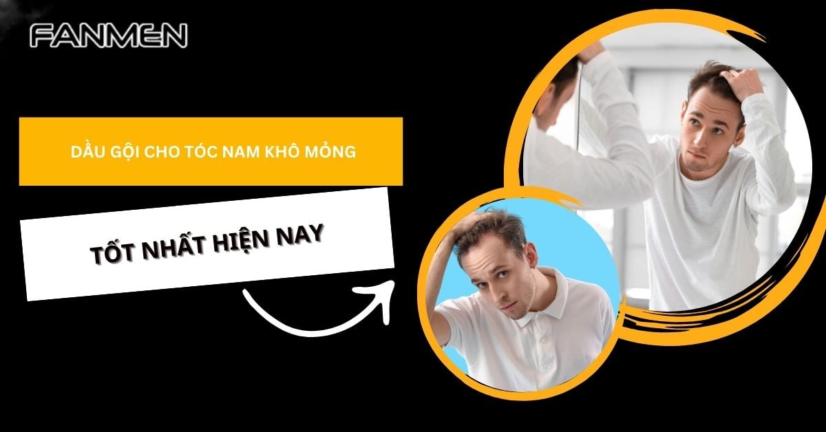 Gợi Ý 5 Dầu Gội Cho Tóc Nam Khô Mỏng An Toàn Hiệu Quả Nhất