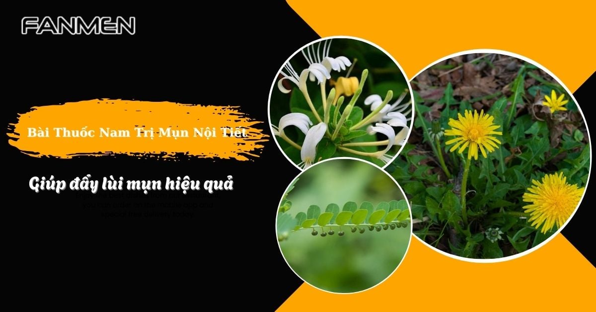 11 Bài Thuốc Nam Trị Mụn Nội Tiết Giúp Đẩy Lùi Mụn Hiệu Quả