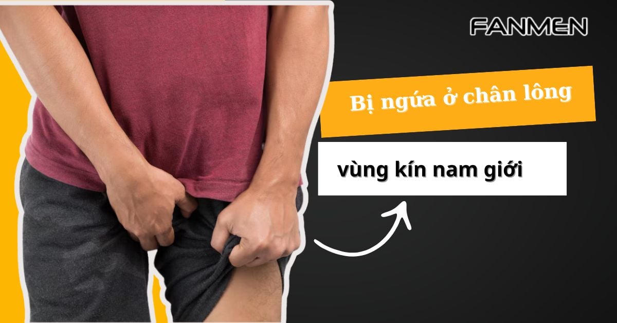 Bị Ngứa Ở Chân Lông Vùng Kín Nam Giới: Nguyên Nhân, Điều Trị