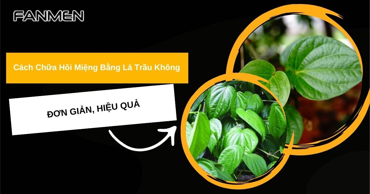 Cách Chữa Hôi Miệng Bằng Lá Trầu Không Đơn Giản, Hiệu Quả