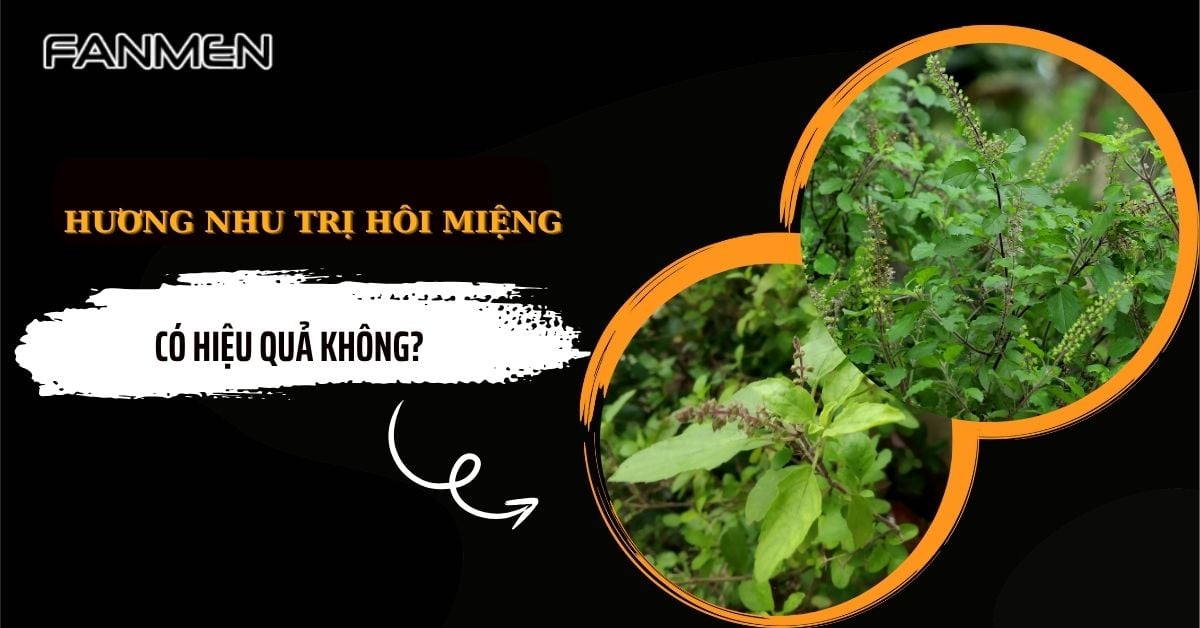 Hương Nhu Trị Hôi Miệng Có Hiệu Quả Không? Cách Dùng