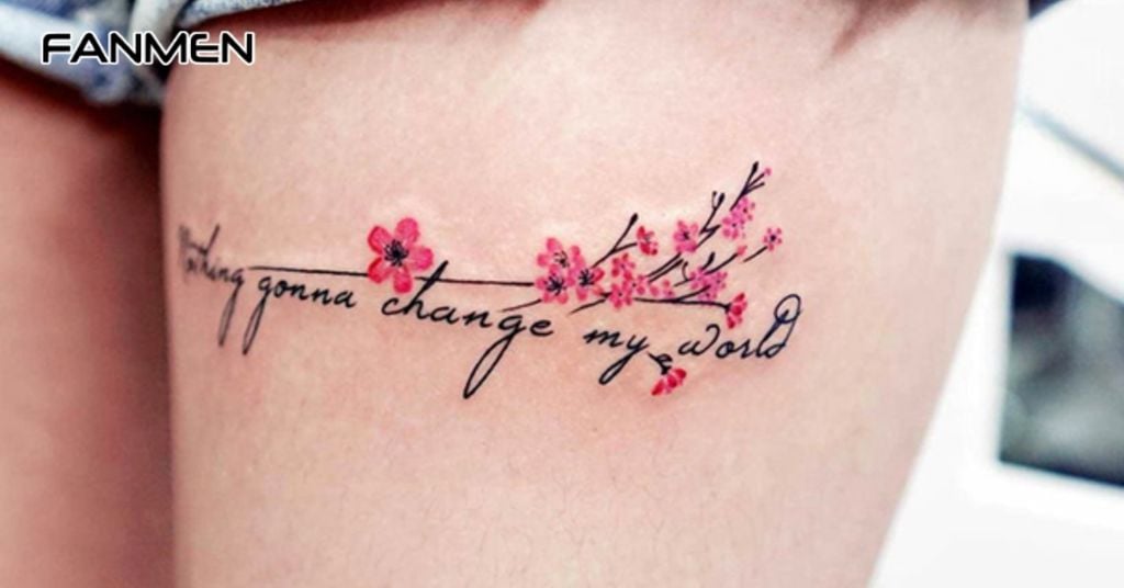 Hoa Anh Đào – Vẻ Đẹp Thoáng Qua và Vĩnh Cửu