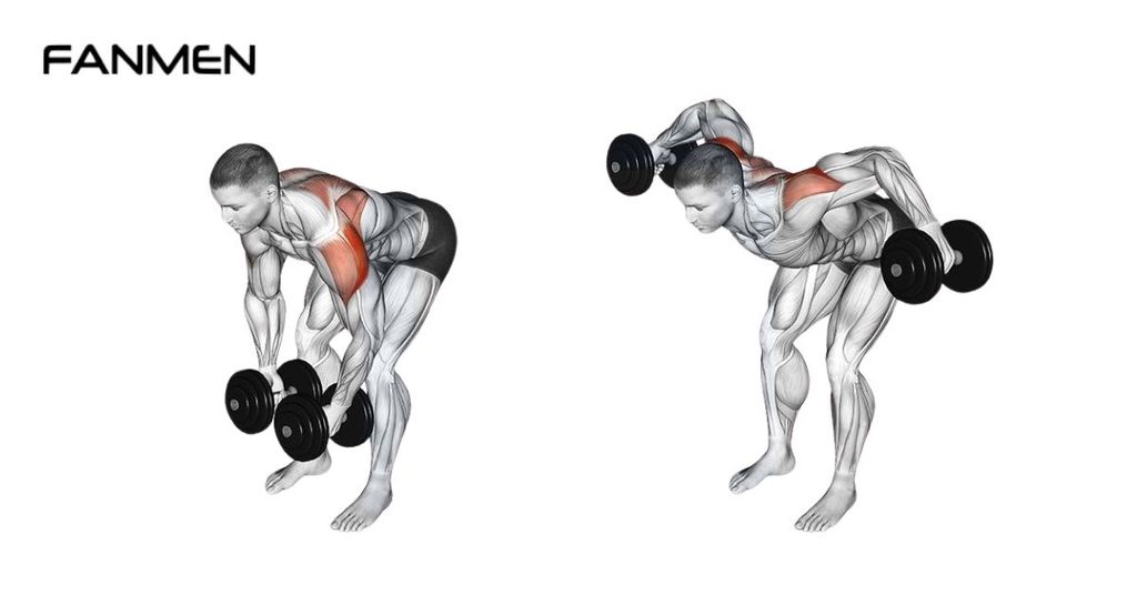 Nâng tạ hai bên (Bent-Over Dumbbell Lateral Raise)