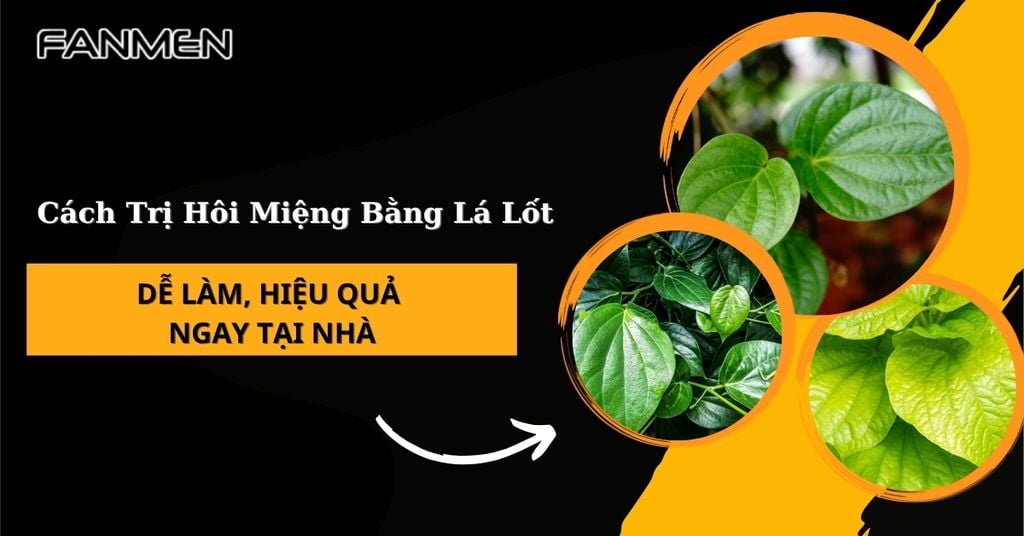 Cách trị hôi miệng bằng lá lốt