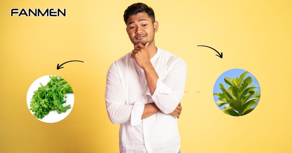 Lá cây trị hôi miệng có thực sự hiệu quả