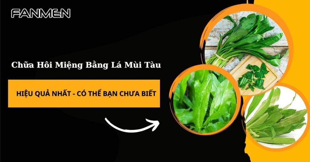Chữa hôi miệng bằng lá mùi tàu
