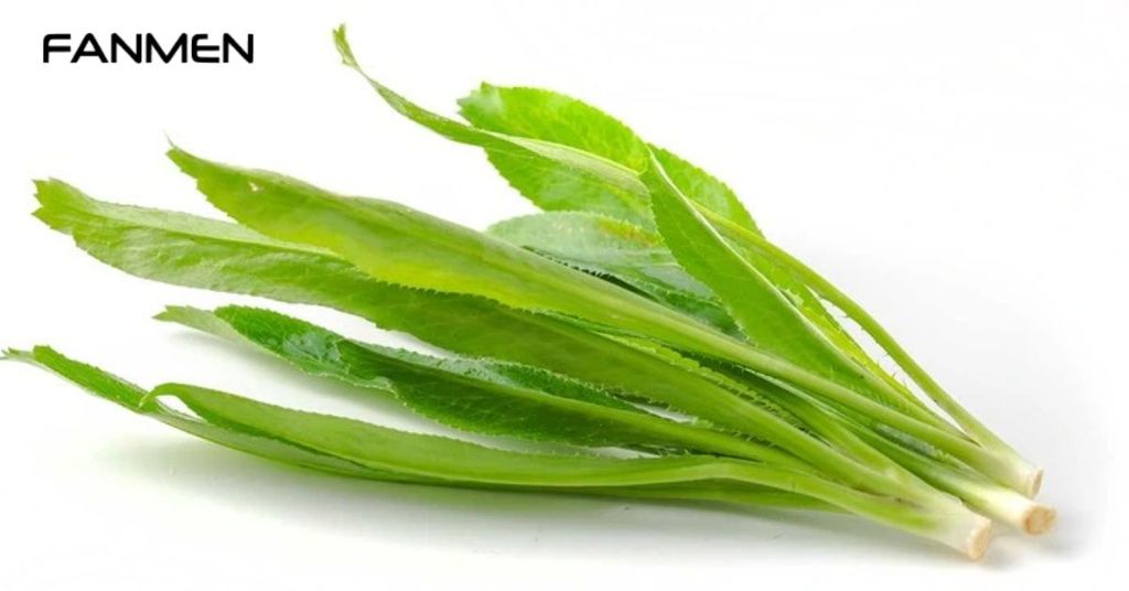 Cách chữa hôi miệng bằng mùi tàu (ngò gai)