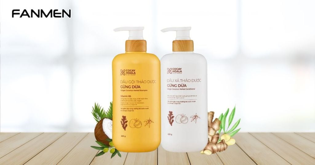 Dầu gội thảo dược Gừng dừa Cocay Hoala sạch gàu, giảm gãy rụng
