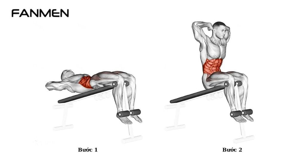 Bài tập Decline Sit Up