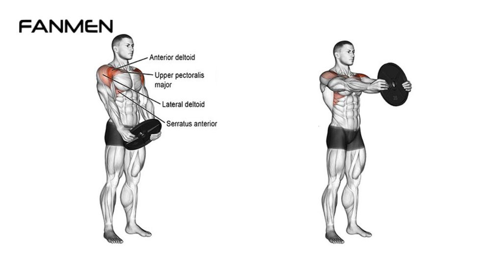 Nâng bánh tạ trước mặt – Front Plate Raises