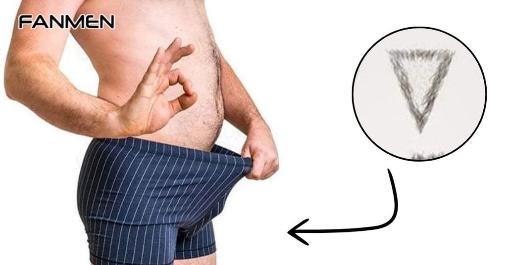 Hình tam giác gọn gàng