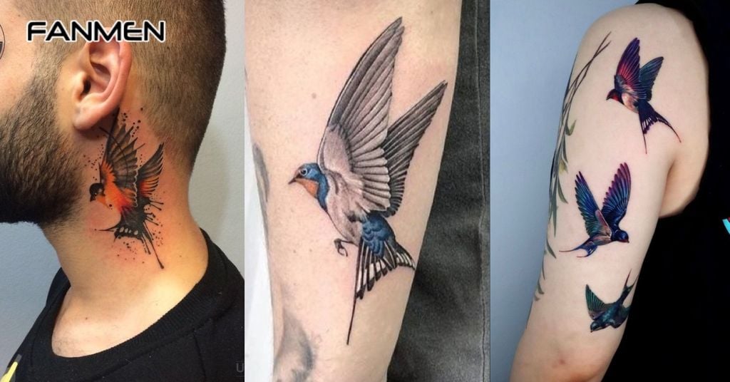 Hình Xăm Chim Én Màu Sắc 2