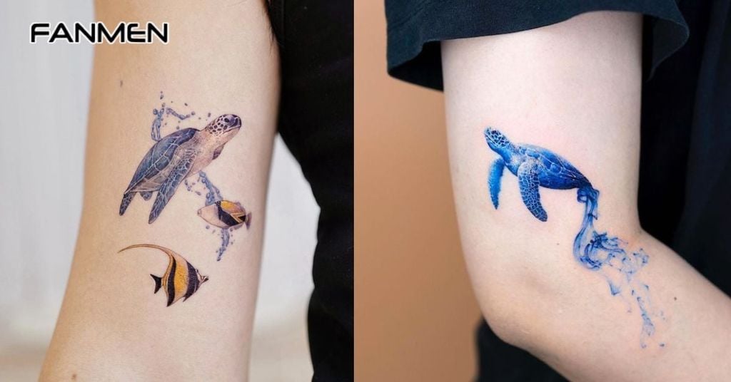 Hình các sinh vật biển