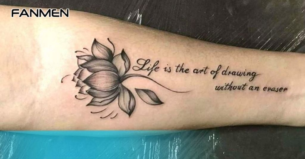 Hoa Sen – Sự Thuần Khiết