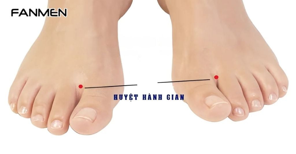 Huyệt Hành Gian