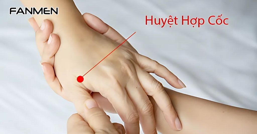 Huyệt Hợp Cốc