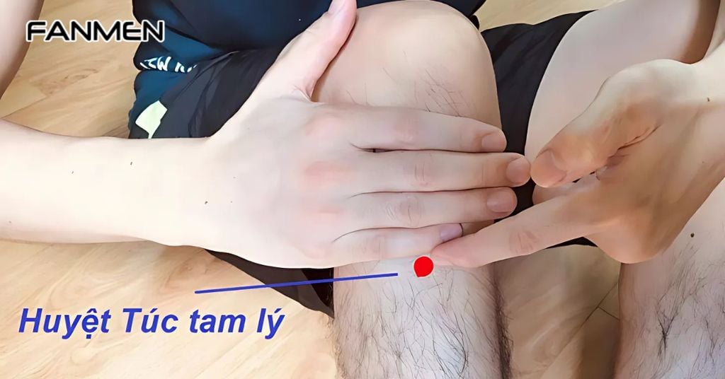 Huyệt Túc Tam Lý