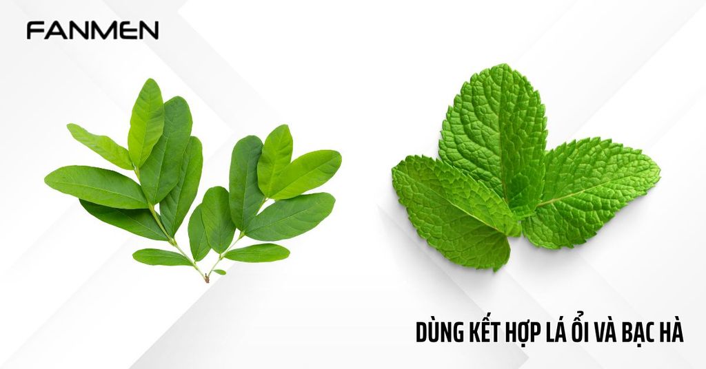Chữa hôi miệng bằng kết hợp lá ổi và bạc hà