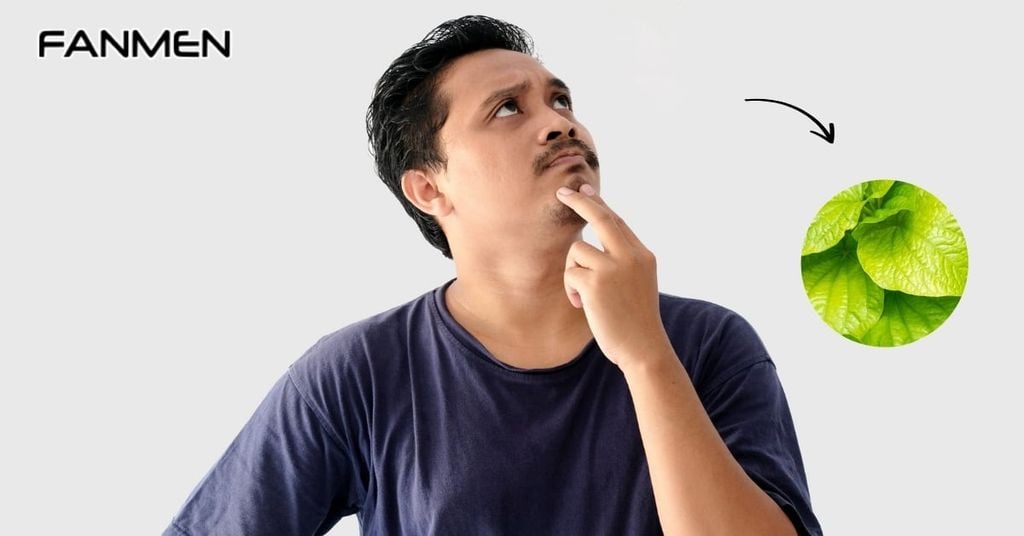 Trị hôi miệng bằng lá lốt có hiệu quả không