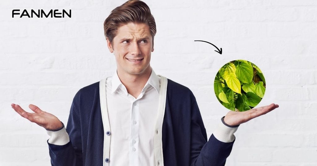 Chữa hôi miệng bằng lá trầu không có thực sự hiệu quả