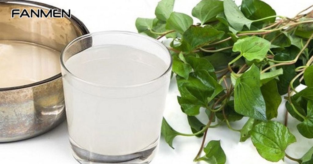 Kết hợp nước vo gạo với lá diếp cá