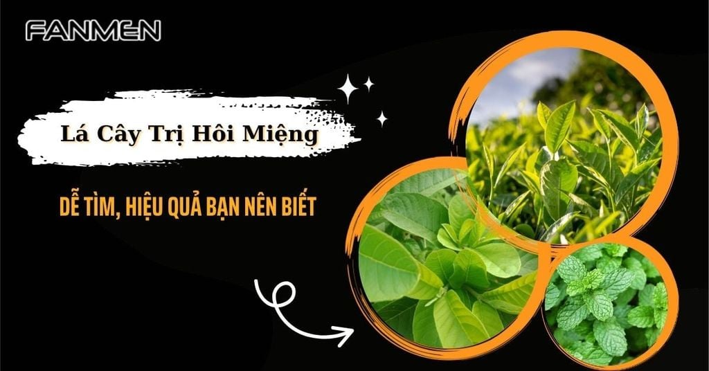 Lá cây trị hôi miệng