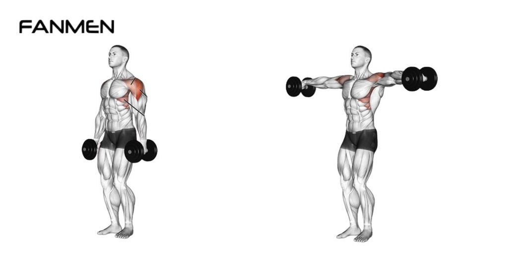 Nâng tạ 2 bên – Lateral Raises
