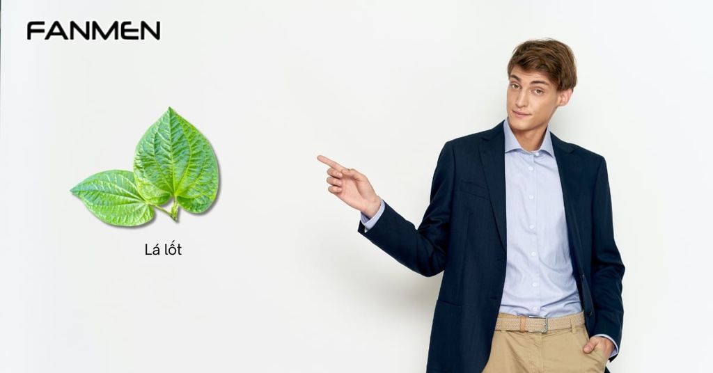 Lưu ý khi trị hôi miệng bằng lá lốt