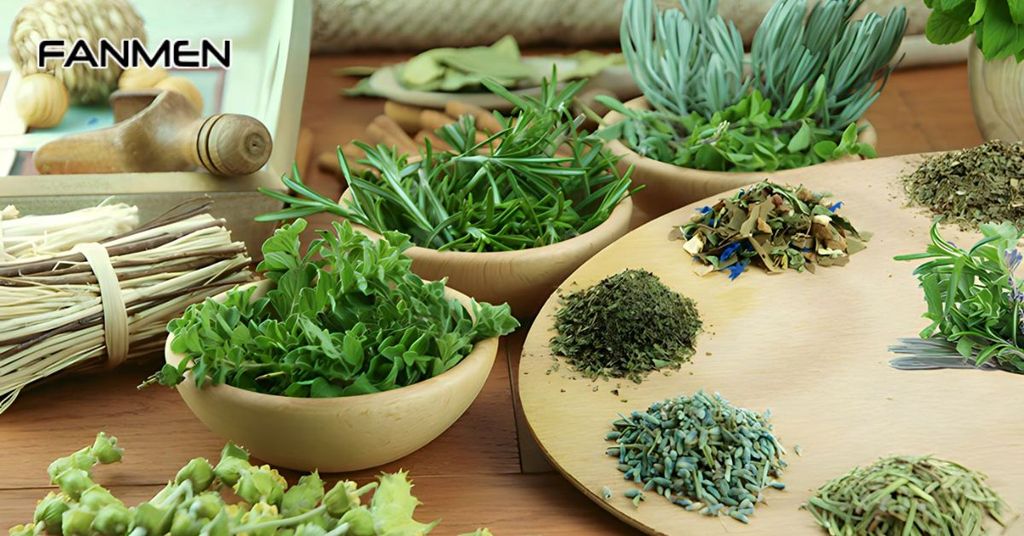 Lưu ý khi trị mụn nội tiết bằng thuốc nam