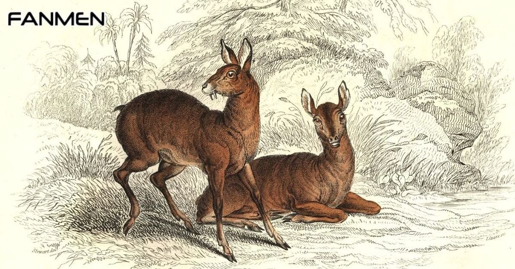 Mùi hương động vật