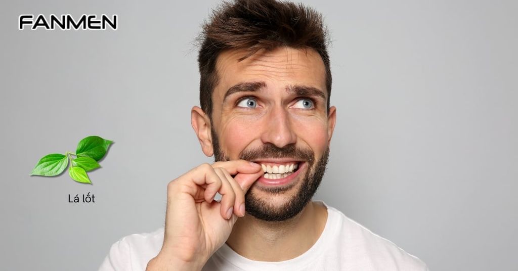 Nhai lá lốt tươi