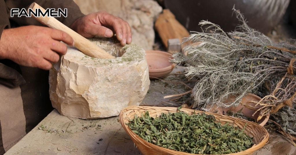 Sử dụng các thảo dược hỗ trợ tiêu hóa