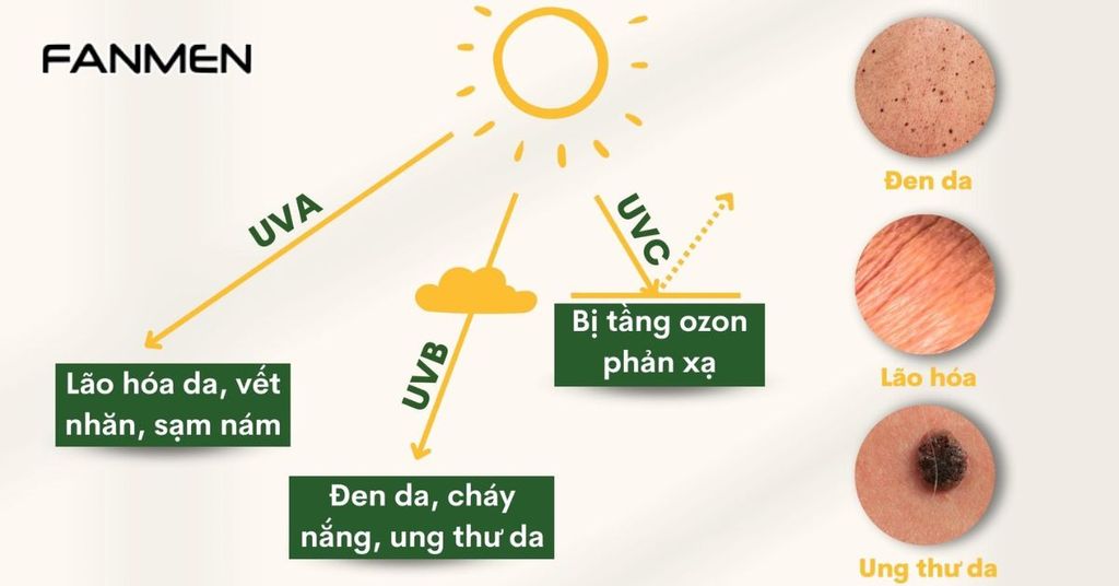 Tác động của các tia UV