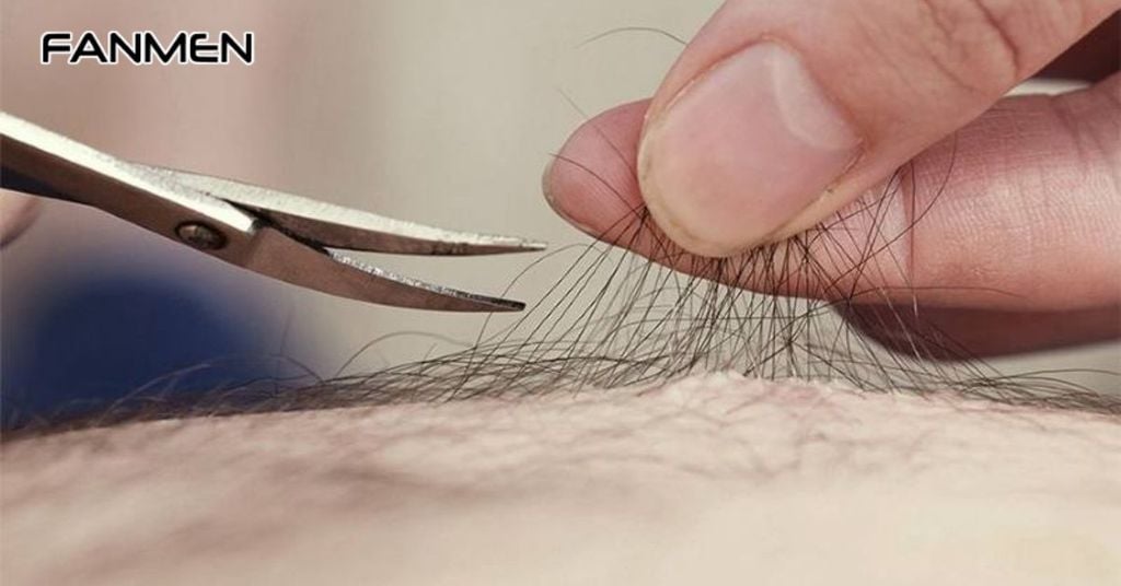 Tỉa lông vùng kín cho nam bằng kéo