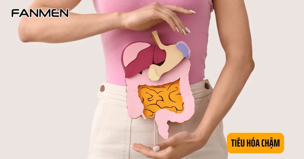 Tiêu hóa chậm