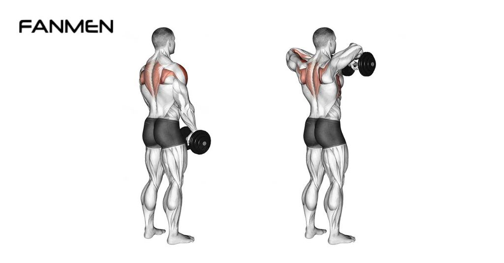 Nâng tạ trước ngực (Two-Arm Dumbbell Upright Row)