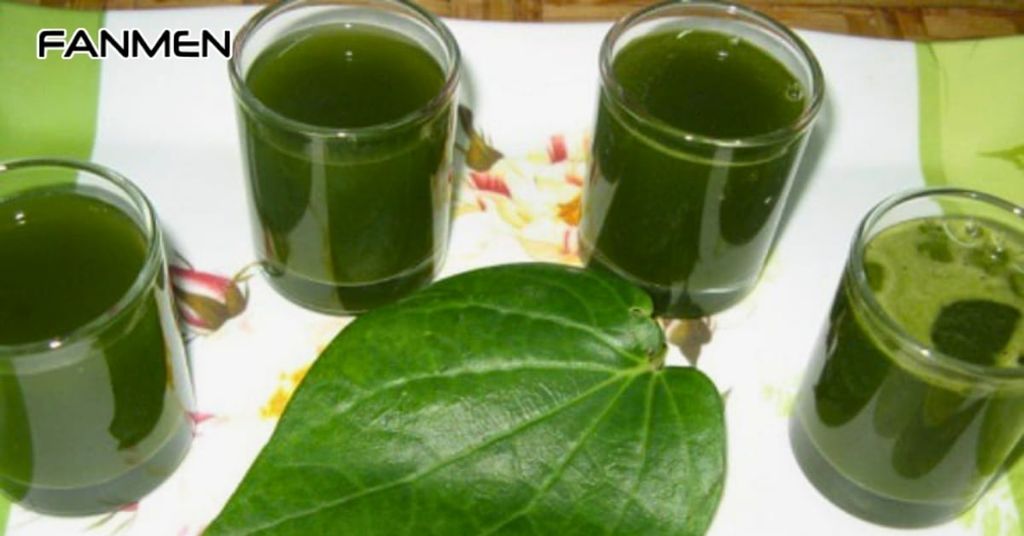 Súc miệng bằng nước lá trầu không tươi